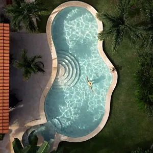 https://casa-cactus-buenavista.quintano-roohotels.com
